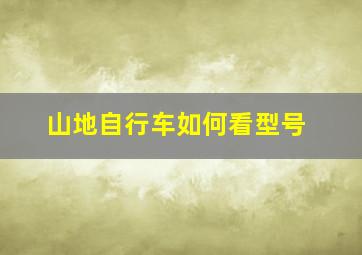 山地自行车如何看型号