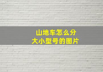 山地车怎么分大小型号的图片