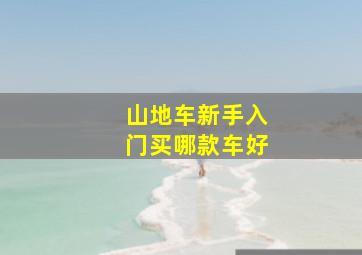 山地车新手入门买哪款车好