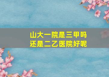 山大一院是三甲吗还是二乙医院好呢