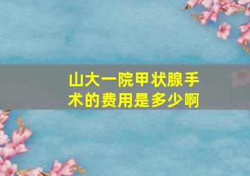 山大一院甲状腺手术的费用是多少啊