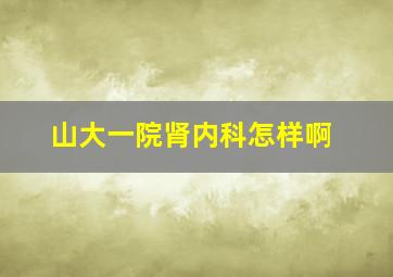 山大一院肾内科怎样啊