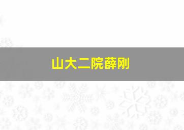 山大二院薛刚