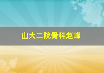 山大二院骨科赵峰