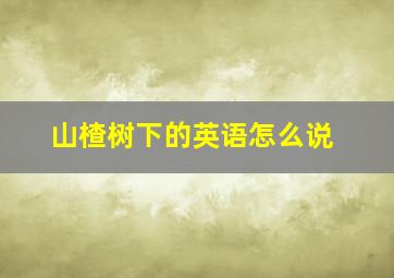 山楂树下的英语怎么说