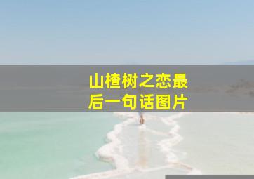 山楂树之恋最后一句话图片