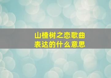 山楂树之恋歌曲表达的什么意思