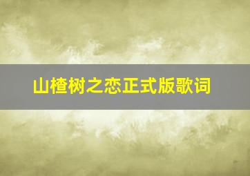 山楂树之恋正式版歌词