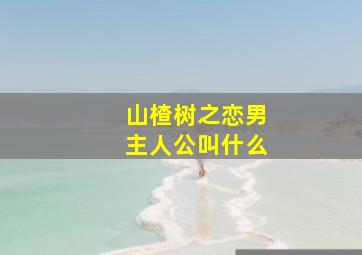 山楂树之恋男主人公叫什么