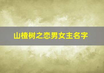 山楂树之恋男女主名字