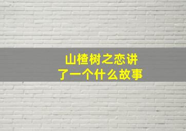 山楂树之恋讲了一个什么故事