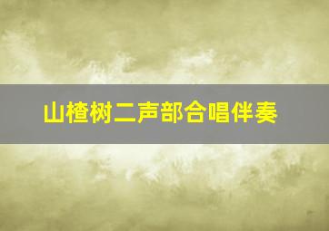 山楂树二声部合唱伴奏