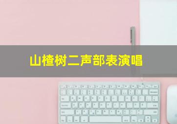 山楂树二声部表演唱