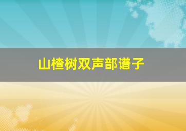 山楂树双声部谱子