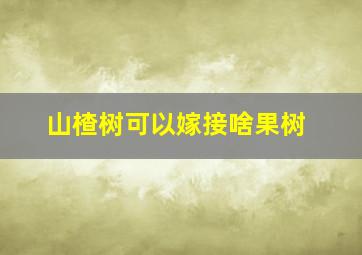 山楂树可以嫁接啥果树