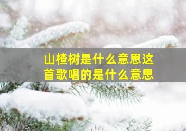 山楂树是什么意思这首歌唱的是什么意思