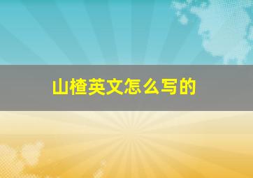 山楂英文怎么写的