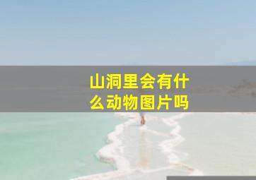 山洞里会有什么动物图片吗