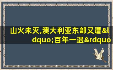 山火未灭,澳大利亚东部又遭“百年一遇”暴雨