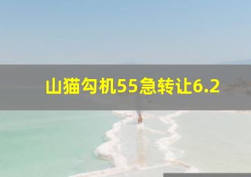 山猫勾机55急转让6.2