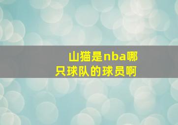 山猫是nba哪只球队的球员啊