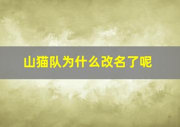 山猫队为什么改名了呢