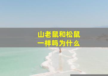 山老鼠和松鼠一样吗为什么