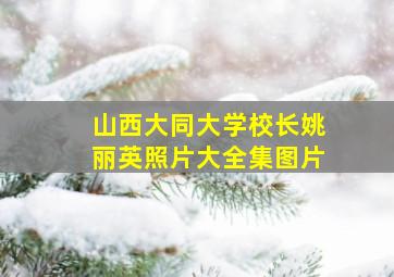 山西大同大学校长姚丽英照片大全集图片