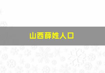 山西薛姓人口