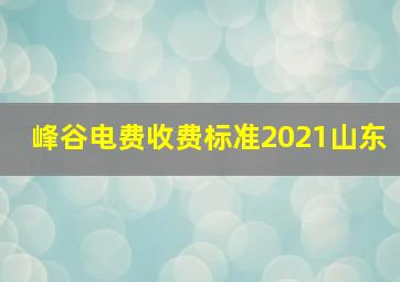 峰谷电费收费标准2021山东