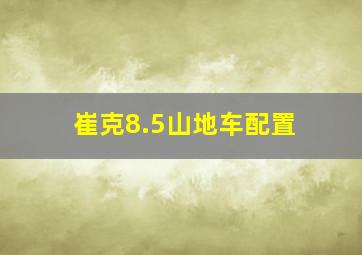 崔克8.5山地车配置