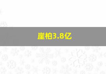 崖柏3.8亿