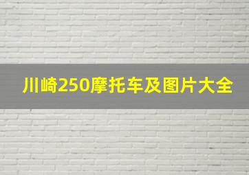 川崎250摩托车及图片大全