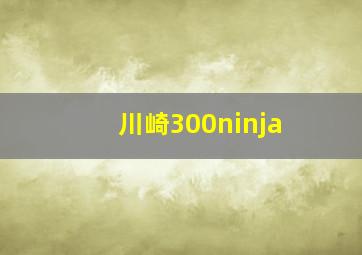 川崎300ninja