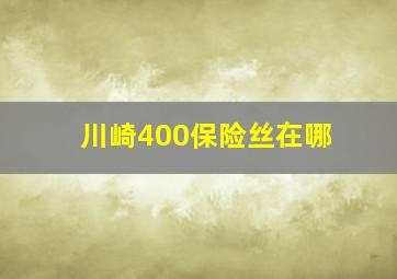 川崎400保险丝在哪