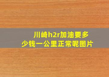 川崎h2r加油要多少钱一公里正常呢图片