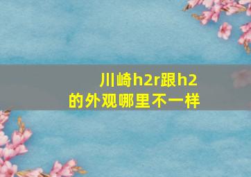 川崎h2r跟h2的外观哪里不一样