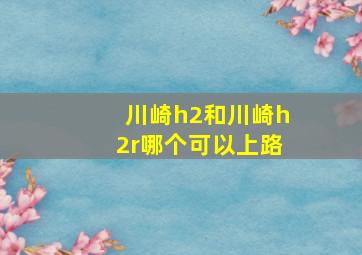 川崎h2和川崎h2r哪个可以上路