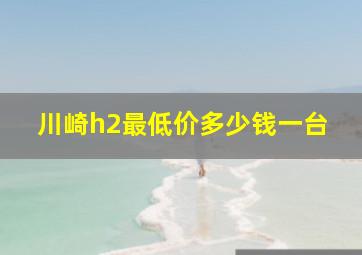 川崎h2最低价多少钱一台