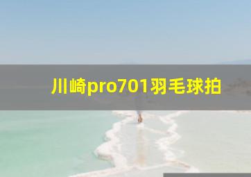 川崎pro701羽毛球拍