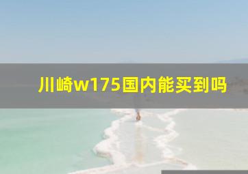 川崎w175国内能买到吗