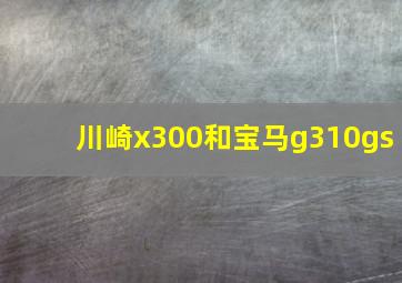 川崎x300和宝马g310gs