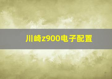 川崎z900电子配置