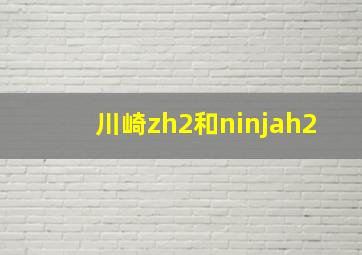 川崎zh2和ninjah2