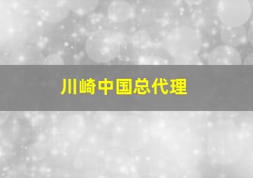 川崎中国总代理