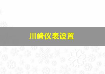 川崎仪表设置