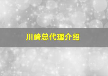 川崎总代理介绍