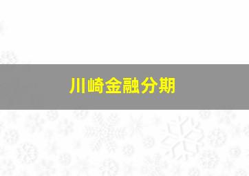 川崎金融分期