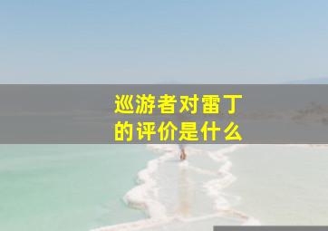 巡游者对雷丁的评价是什么