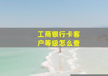 工商银行卡客户等级怎么查